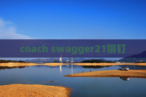 coach swagger21铆钉